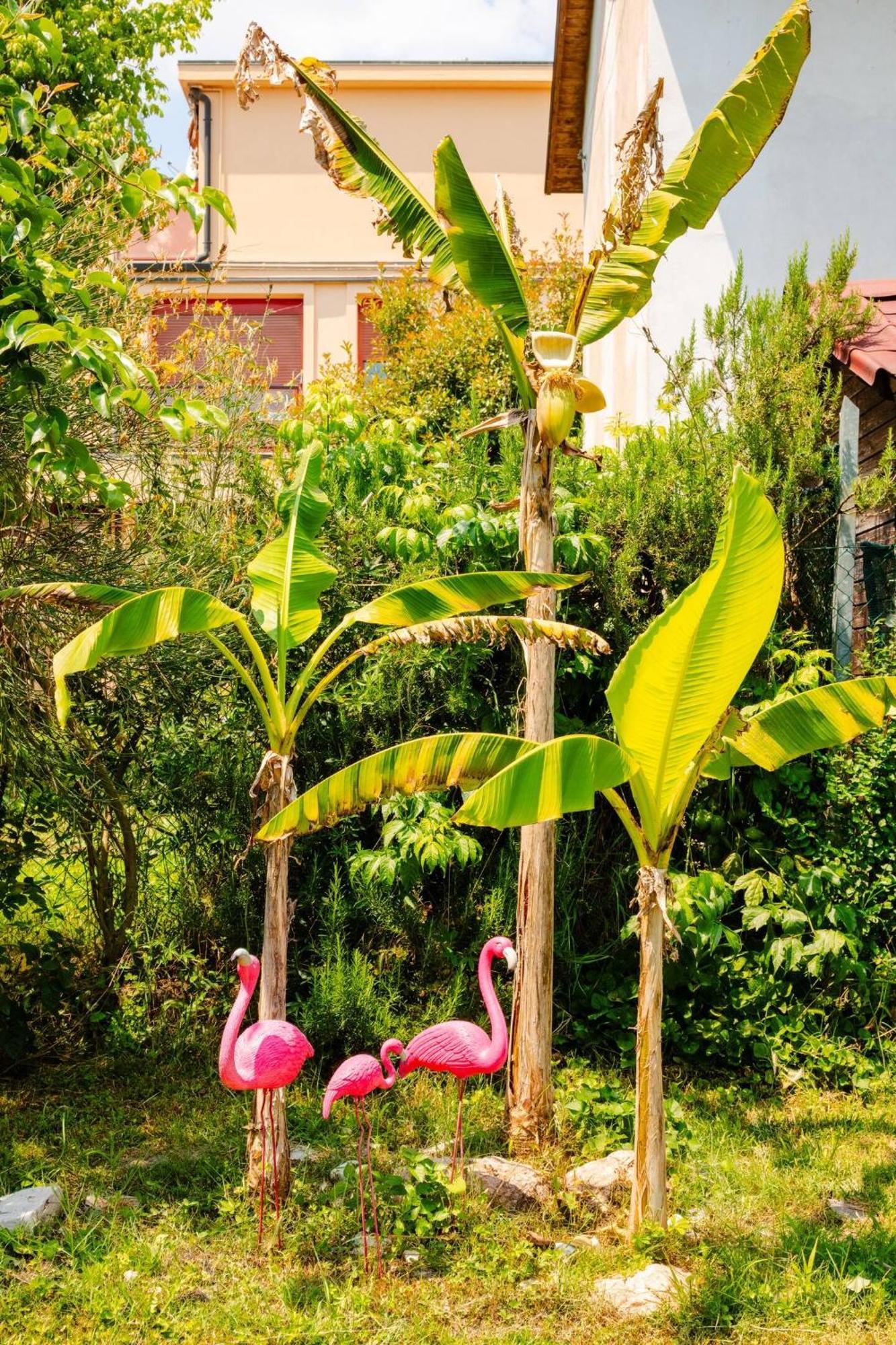 Bed and Breakfast Garden Loft Baricella Exterior foto